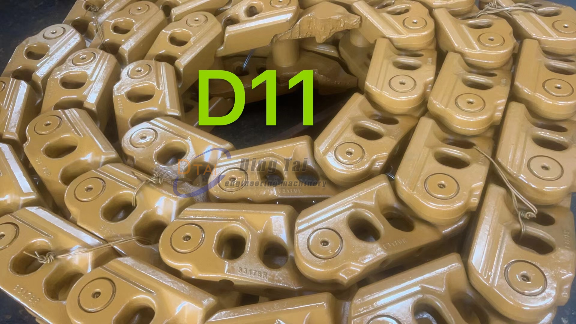 D11